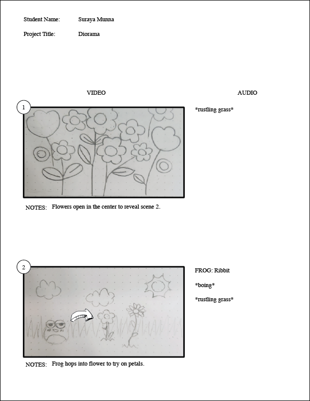 Storyboard of the opening scene, where there are multiple flowers that split apart from the center of the frame to reveal the scene depicted on frame 2, where there will be 2 flowers on a sunny day and a frog hops into frame.