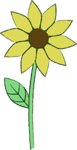 Sunflower used in opening and closing of diorama.